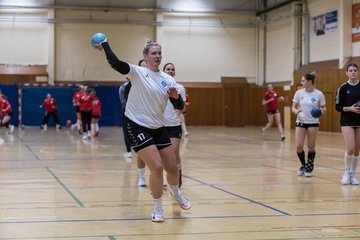 Bild 116 - F TSV Ellerau - HSG Tills Loewen 08 : Ergebnis: 16:18
